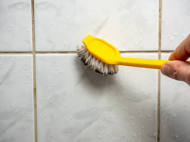 Best Emergency Mold Removal  in Lake Crystal, MN