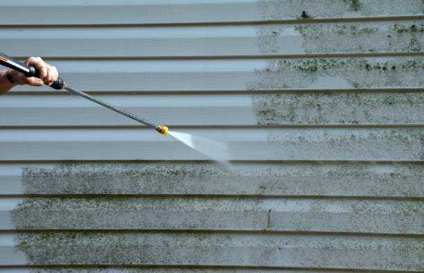 Mold Removal Process in Lake Crystal, MN