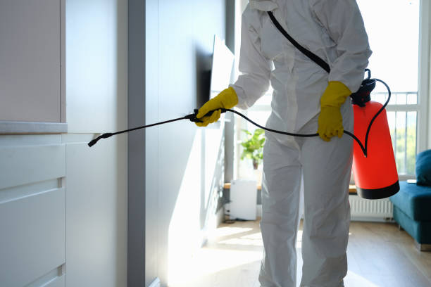 Best Toxic Mold Removal  in Lake Crystal, MN