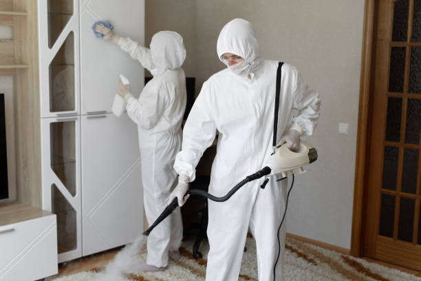 Mold Testing and Removal in Lake Crystal, MN