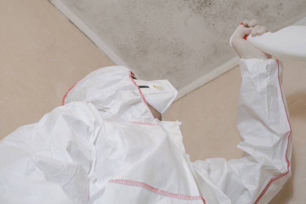 Best Crawl Space Mold Removal  in Lake Crystal, MN
