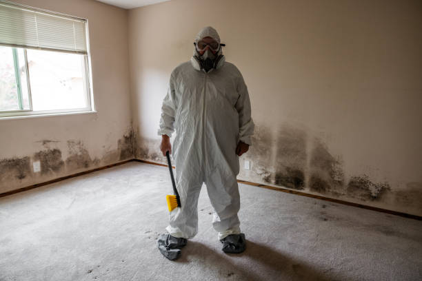 Crawl Space Mold Removal in Lake Crystal, MN